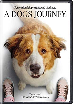 A Dog's Journey