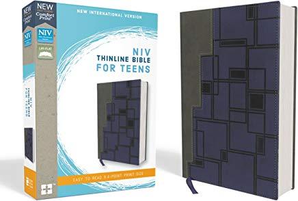 NIV, Thinline Bible for Teens, Imitation Leather, Gray/Navy, Red Letter Edition