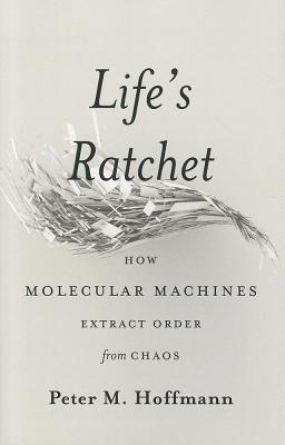 Life's Ratchet: How Molecular Machines Extract Order from Chaos