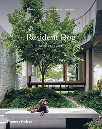 Resident Dog: Incredible Homes and the Dogs That Live There