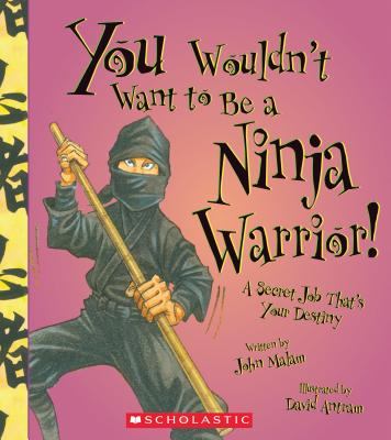 You Wouldn't Want to Be a Ninja Warrior!