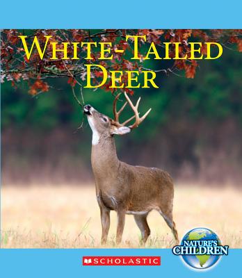 White-Tailed Deer