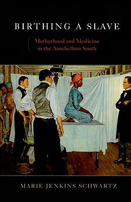 Birthing a Slave: Motherhood and Medicine in the Antebellum South