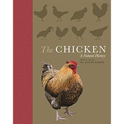 The Chicken: A Natural History