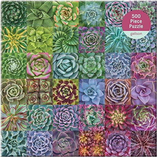 Succulent Spectrum 500 Piece Puzzle