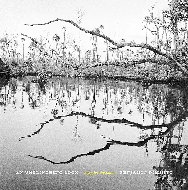 An Unflinching Look: Elegy for Wetlands