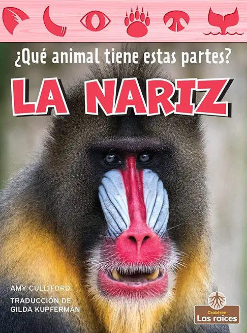 La Nariz (Nose)