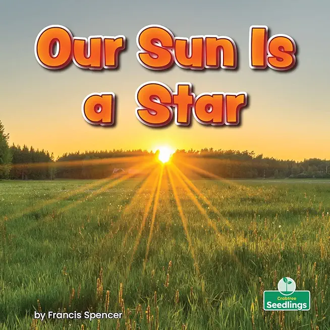 Our Sun Is a Star