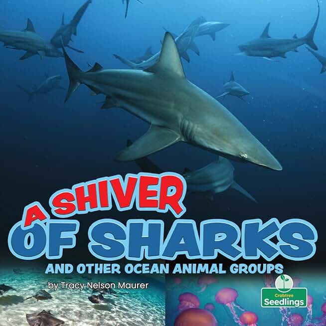 A Shiver of Sharks and Other Ocean Animal Groups