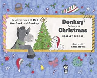 Donkey Delivers at Christmas