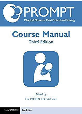 Prompt Course Manual