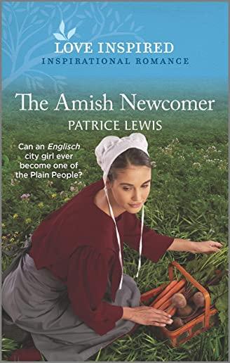 The Amish Newcomer