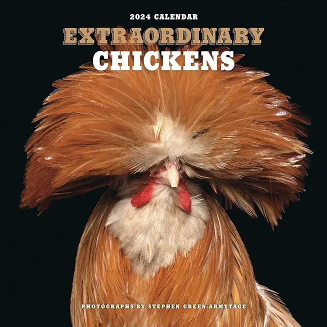 Extraordinary Chickens 2024 Wall Calendar