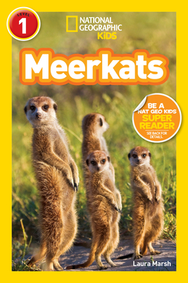 Meerkats