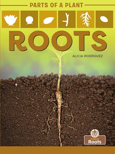 Roots