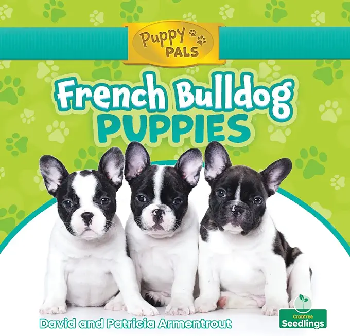 French Bulldog Puppies