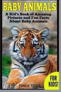 Baby Animals! A Kid's Book of Amazing Pictures and Fun Facts About Baby Animals: Nature Books for Children Series