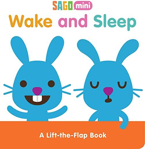 Wake and Sleep: A Lift-The-Flap Book