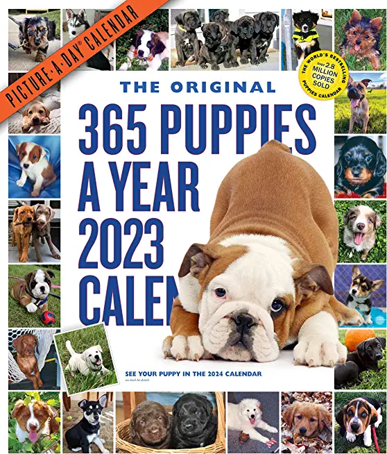 365 Puppies-A-Year Picture-A-Day Wall Calendar 2023