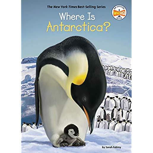 Where Is Antarctica?