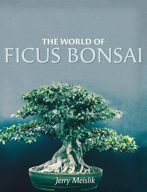 The World of Ficus Bonsai