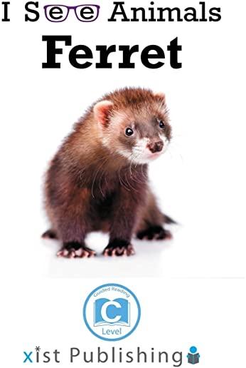 Ferret