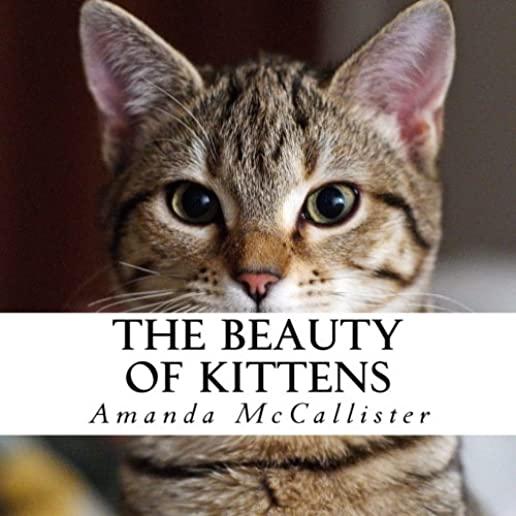 The Beauty of Kittens: A text-free book for Seniors and Alzheimer's patients