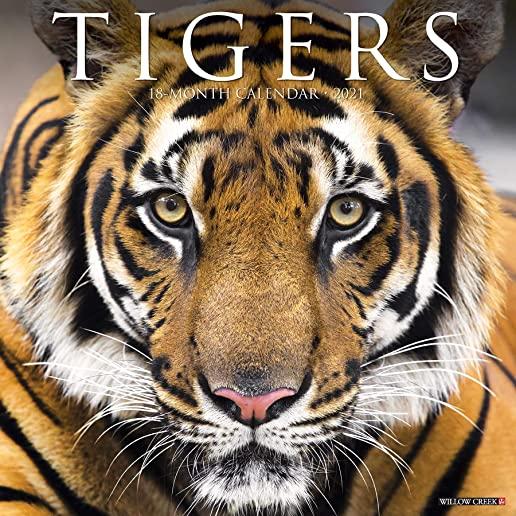 Tigers 2021 Wall Calendar