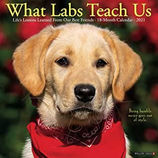 What Labs Teach Us 2021 Wall Calendar (Dog Breed Calendar)