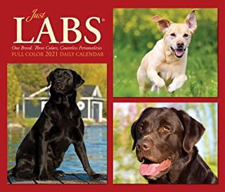 Just Labs 2021 Box Calendar (Dog Breed Calendar)