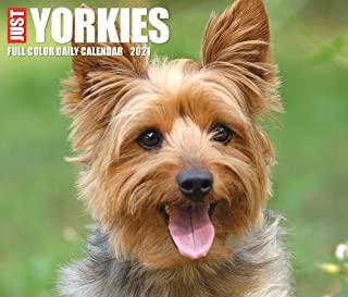 Just Yorkies 2021 Box Calendar (Dog Breed Calendar)