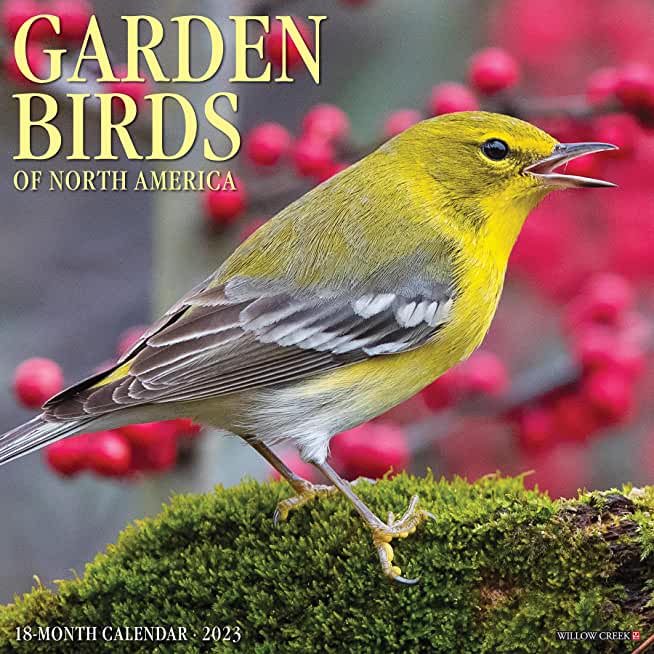 Garden Birds 2023 Wall Calendar