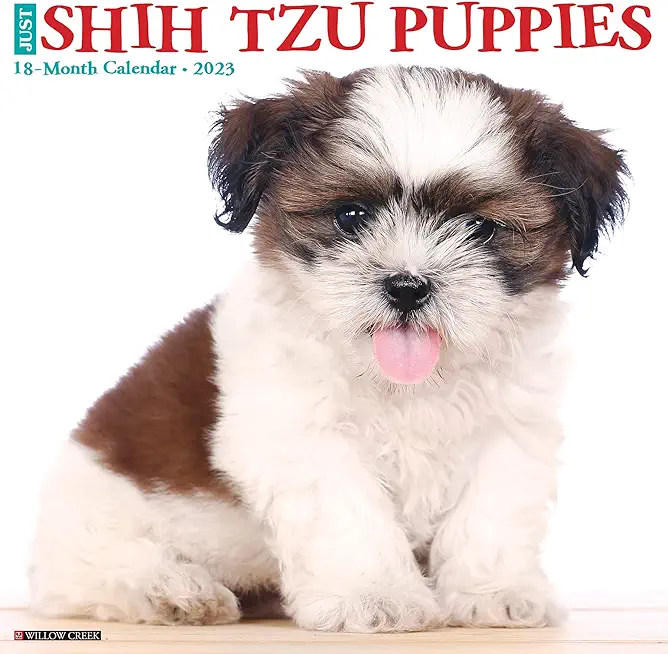 Just Shih Tzu Puppies 2023 Wall Calendar