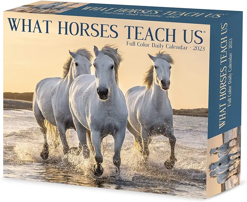 What Horses Teach Us 2023 Box Calendar