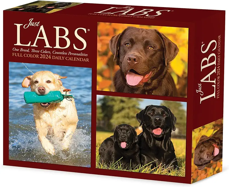 Labs 2024 6.2 X 5.4 Box Calendar