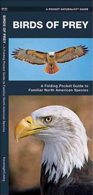 Birds of Prey: An Introduction to Familiar North American Species