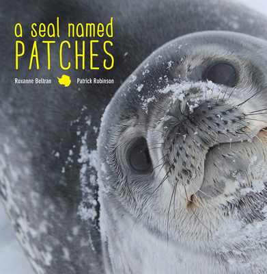 A Seal Named Patches