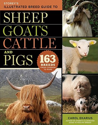 Storey's Illustrated Breed Guide to Sheep, Goats, Cattle and Pigs: 163 Breeds from Common to Rare