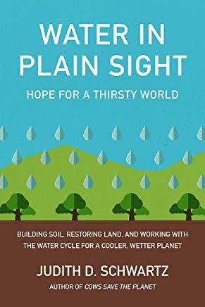 Water in Plain Sight: Hope for a Thirsty World