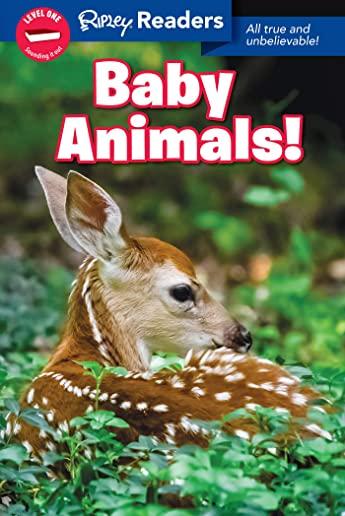 Ripley Readers Level1 Lib Edn Baby Animals!