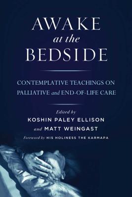 Awake at the Bedside: Contemplative Teachings on Palliative and End-Of-Life Care