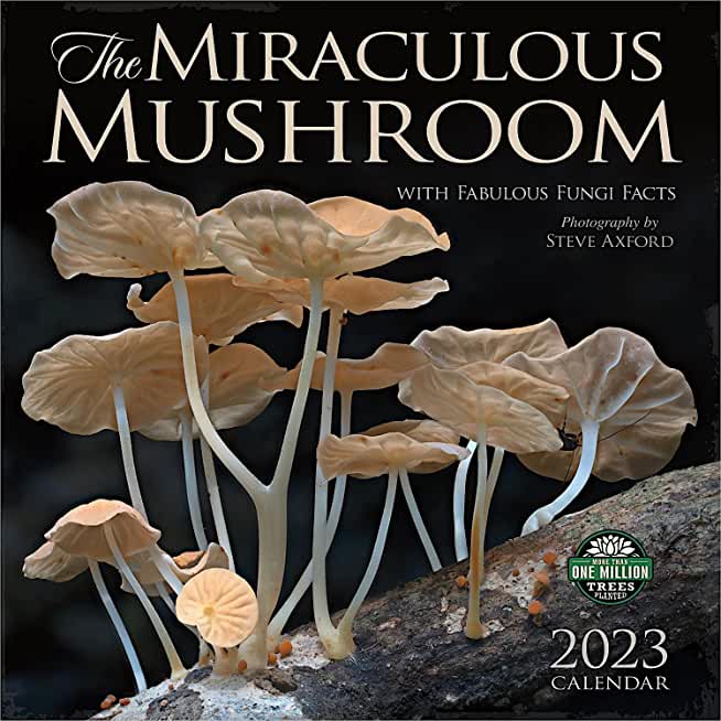 Miraculous Mushroom 2023 Wall Calendar