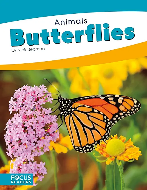 Butterflies