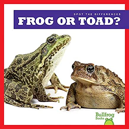 Frog or Toad?