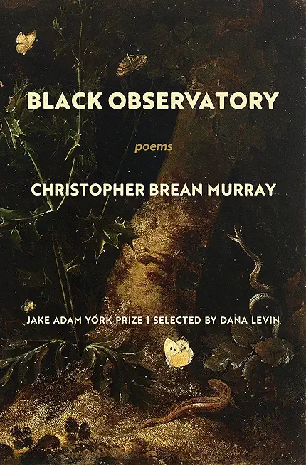 Black Observatory: Poems