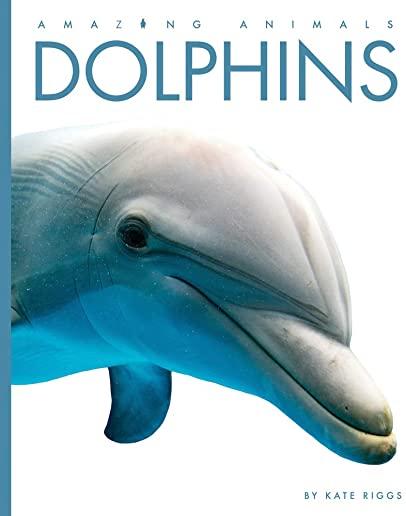 Dolphins