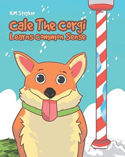 Cale The Corgi Learns Common Sense