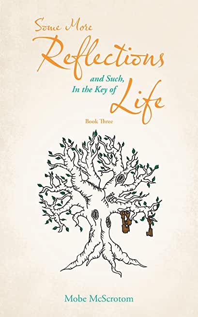 Some More Reflections and Such, in the Key of Life: Book Three