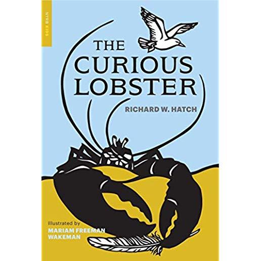 The Curious Lobster