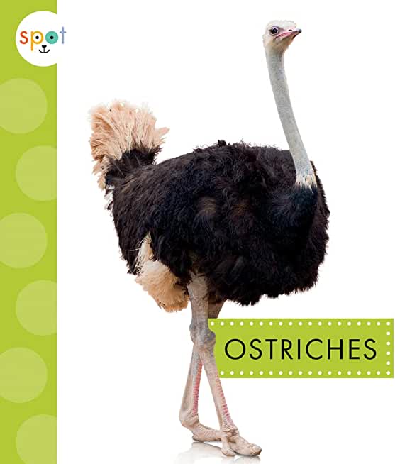 Ostriches